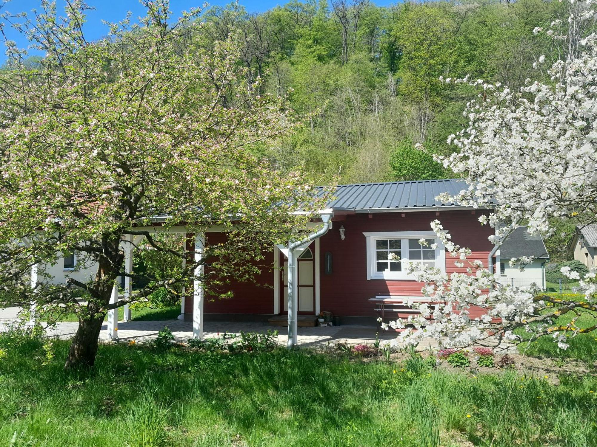 Ferienhaus Am Wald Wippra Buitenkant foto